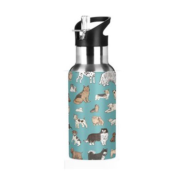 Water Bottle With Flex Straw Lid